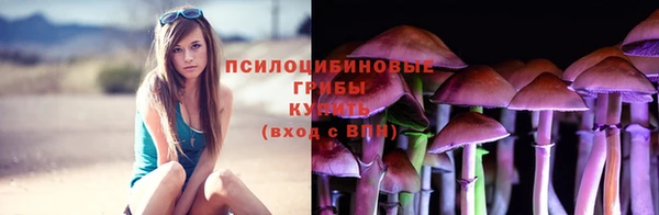 гидропоника Аркадак