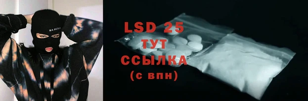 стаф Арсеньев