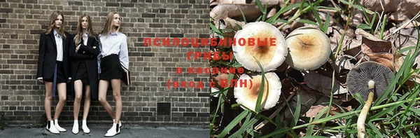 гидропоника Аркадак