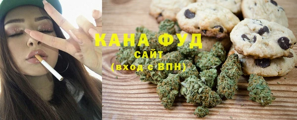 стаф Арсеньев