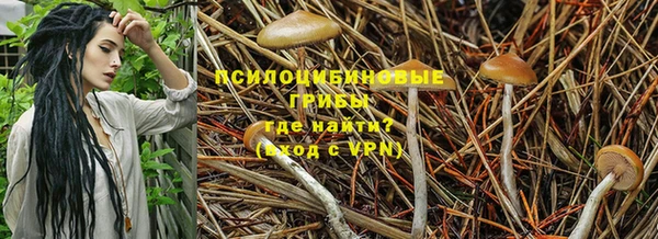 гидропоника Аркадак