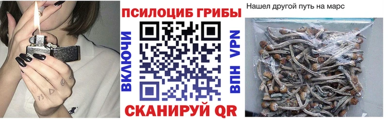Галлюциногенные грибы GOLDEN TEACHER даркнет сайт Порхов