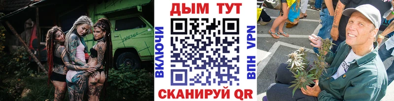 наркота  Порхов  Конопля индика 